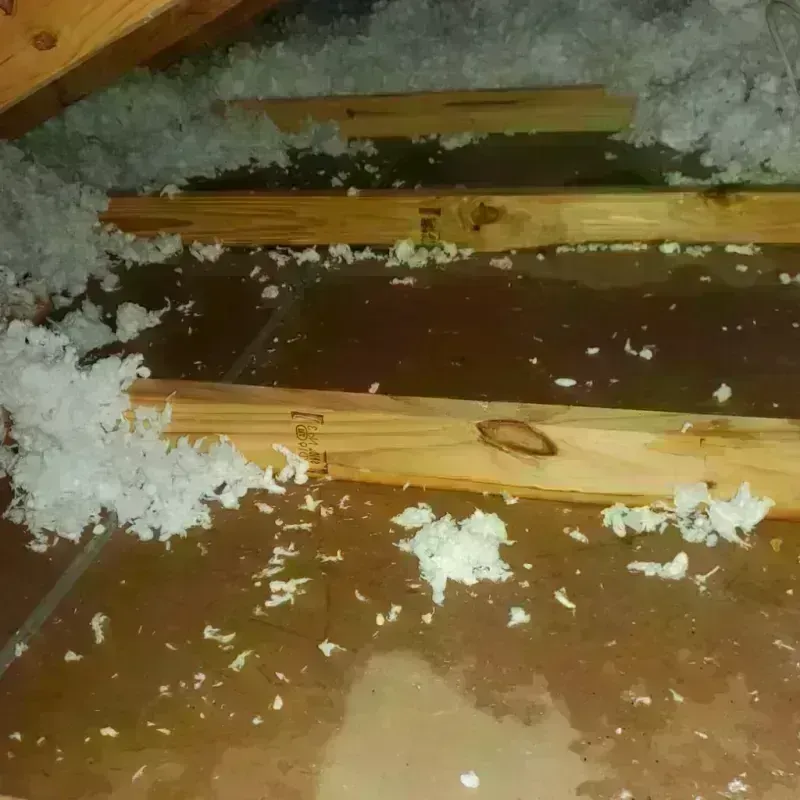 Attic Water Damage in Bay City, TX