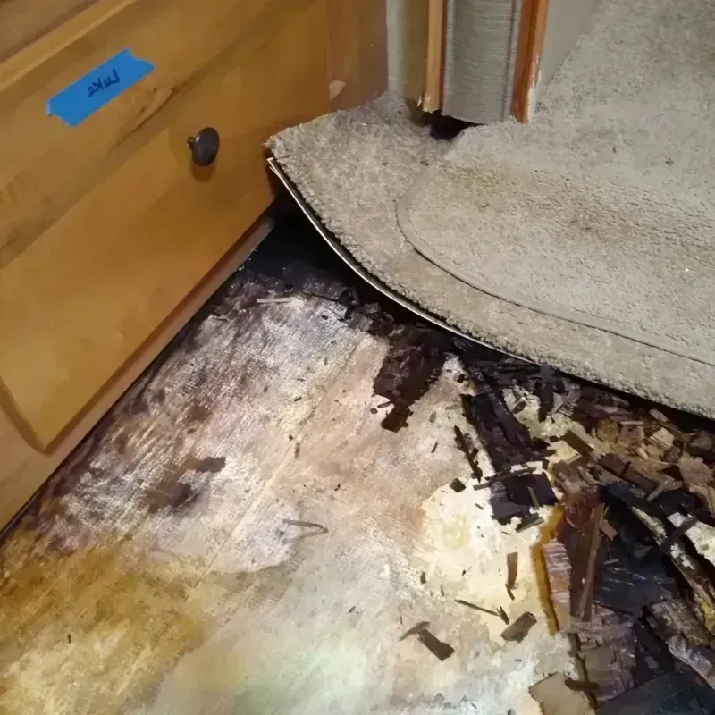 Wood Floor Water Damage in Bay City, TX